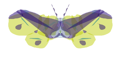butterflyr3.png
