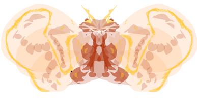 butterflyrd3.png
