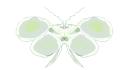 butterflyj3.png