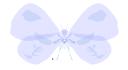 butterflym3.png