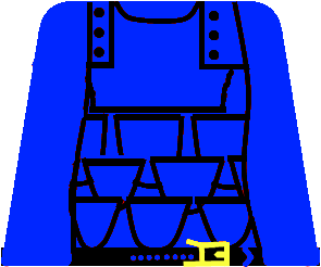 blscalevest.bmp