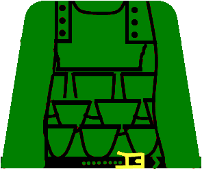 gnscalevest.bmp
