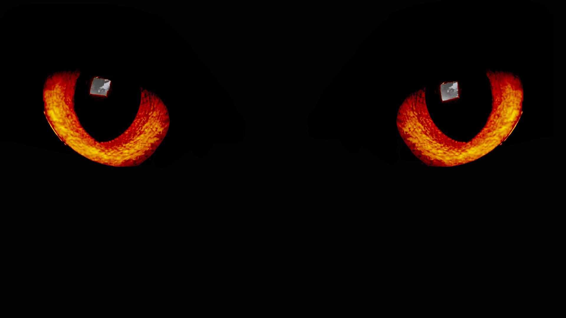 eyes_in_the_dark.jpg