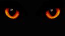 eyes_in_the_dark.jpg