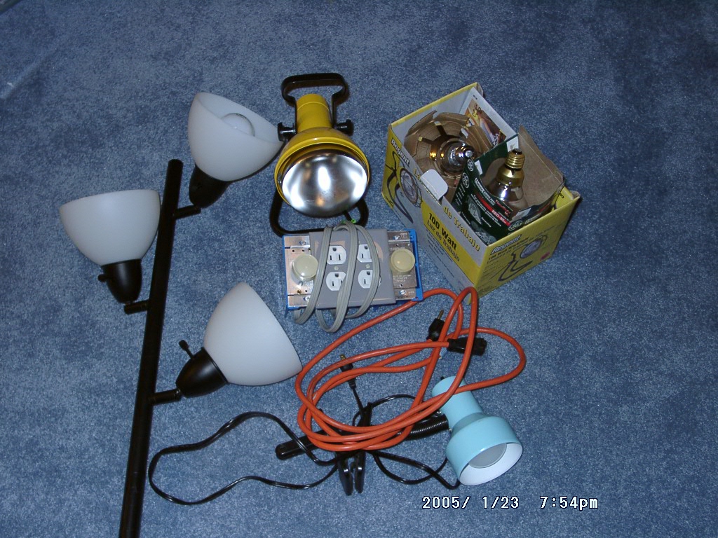lighting1.jpg