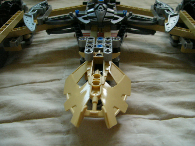 06.jpg
