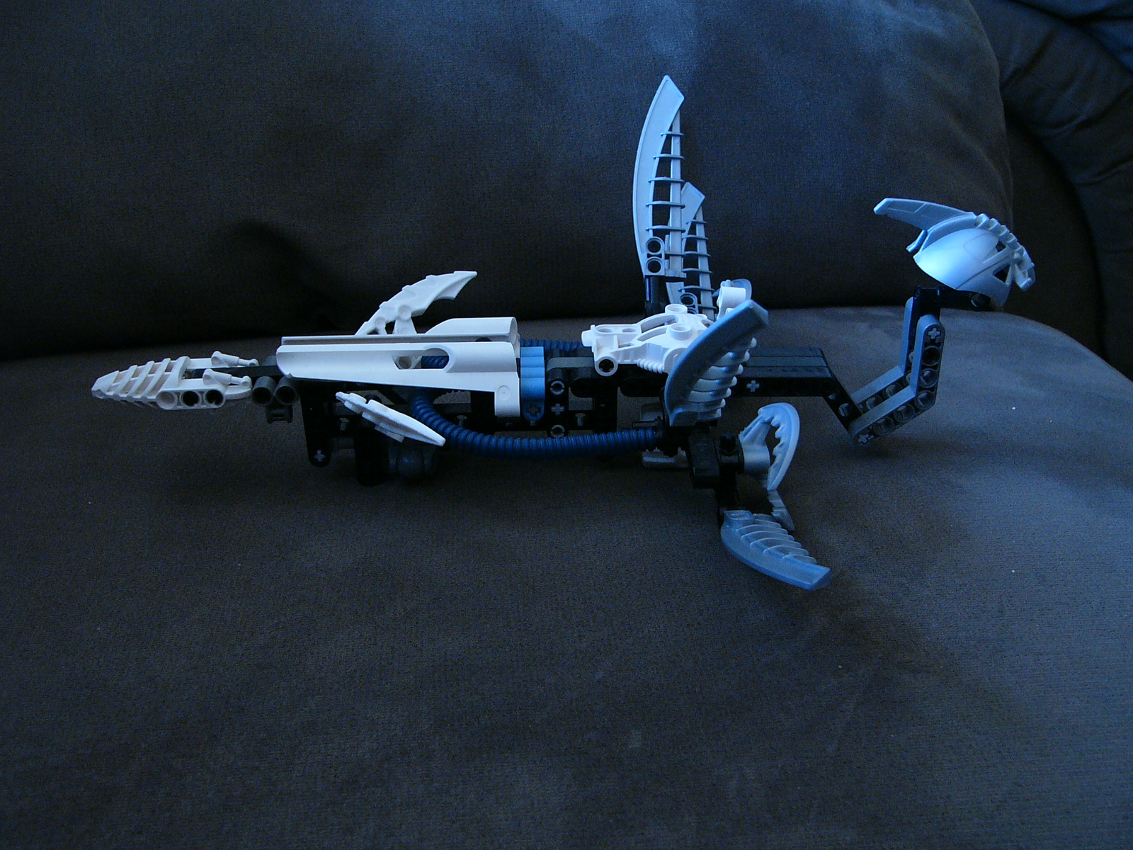 p1010594.jpg