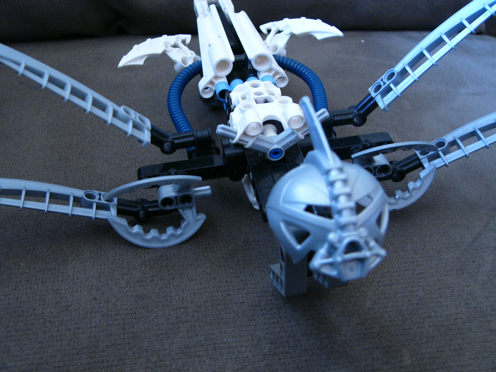 p1010595.jpg