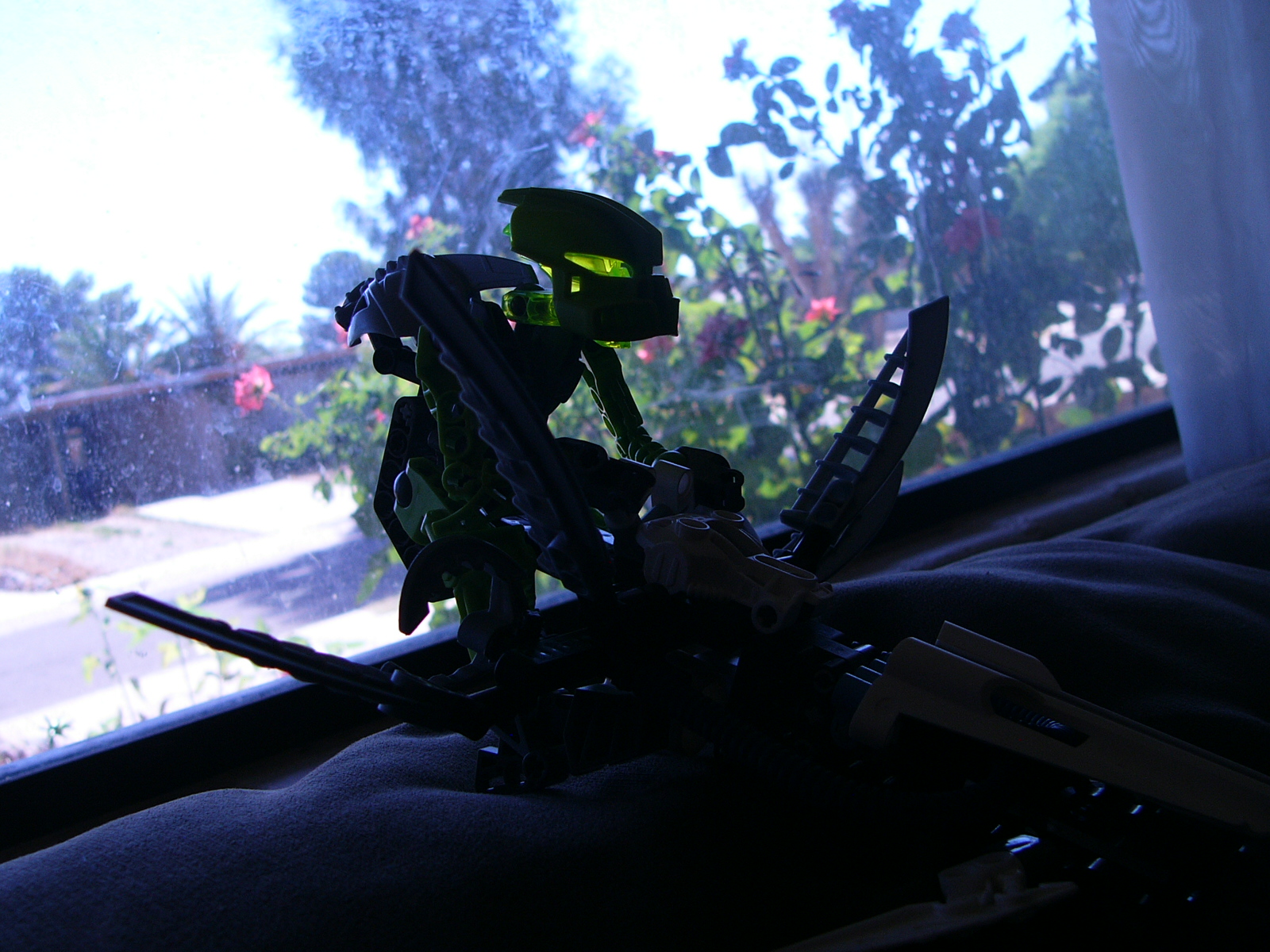 p1010597.jpg