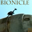 bionicleav1.jpg