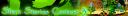 ssc3banner.jpg