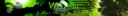 windflybanner.jpg