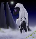 queenofthenight.jpg
