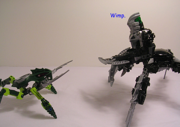arachnakay11.jpg