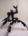 arachnakay03.jpg