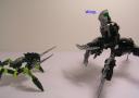 arachnakay11.jpg