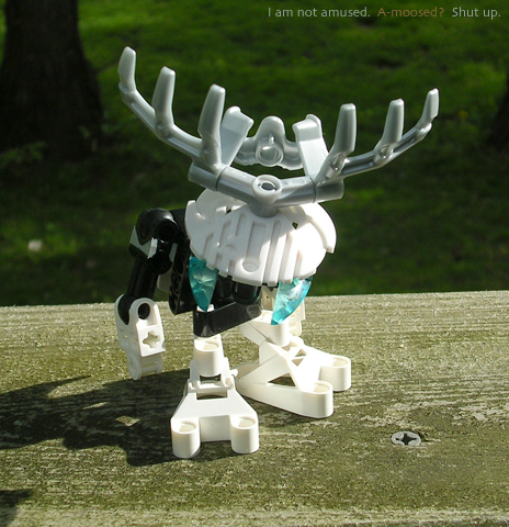 moose.jpg