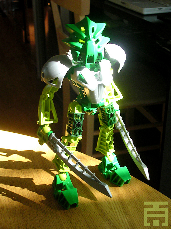 lewa01.jpg