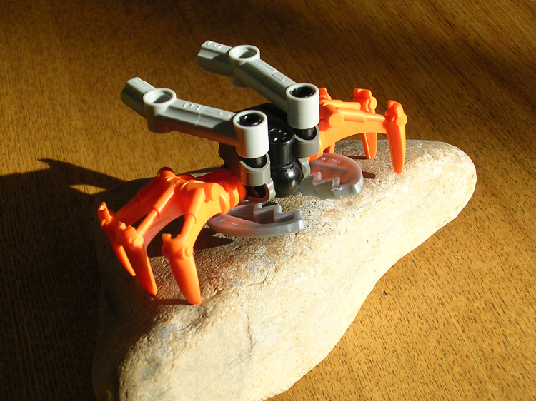 rockussal10.jpg