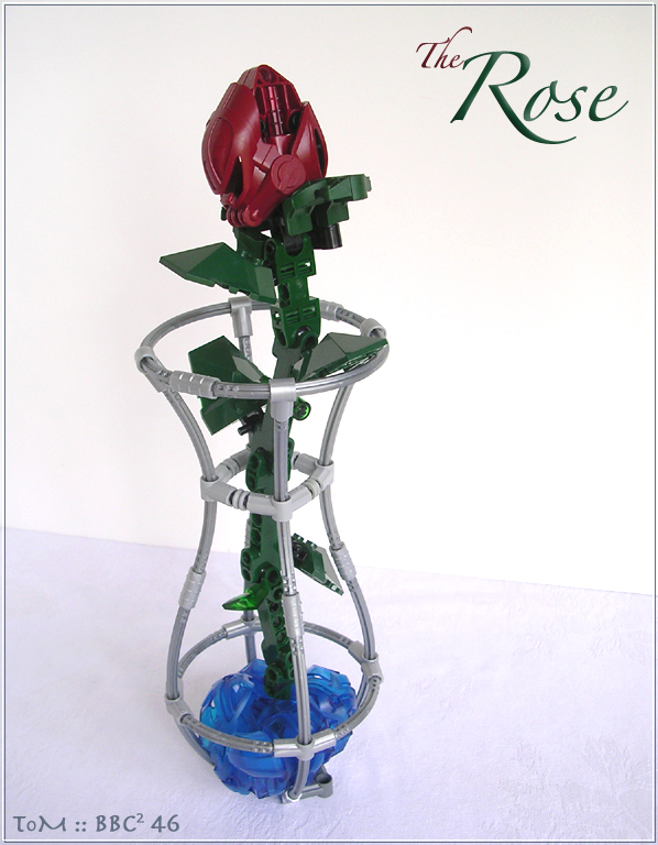 rose01.jpg