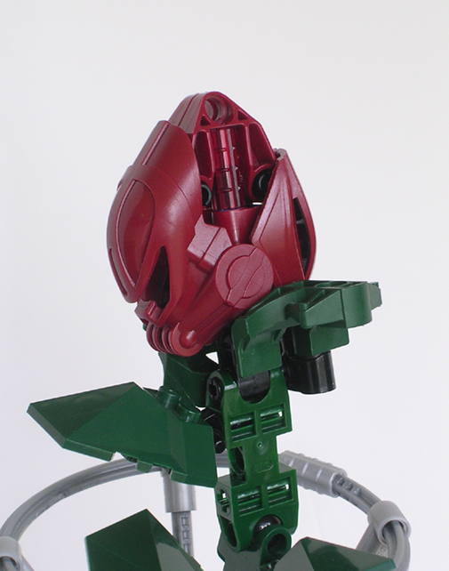 rose04.jpg