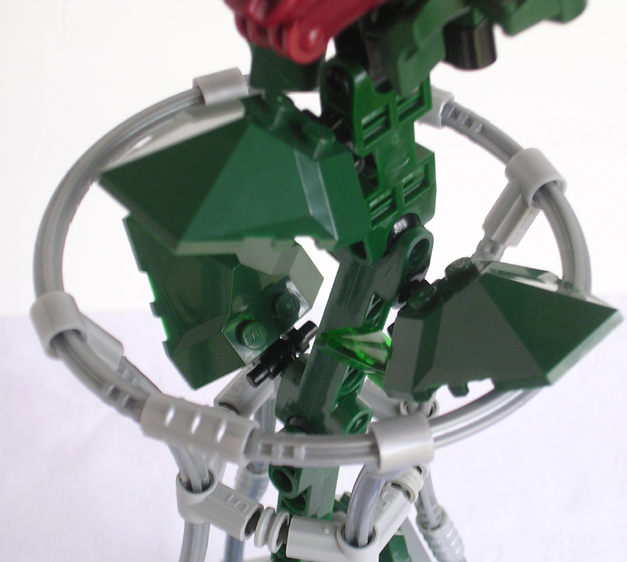 rose05.jpg