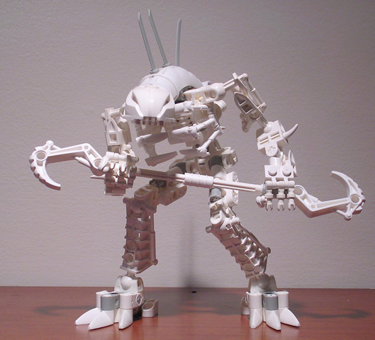 skelerahk01.jpg