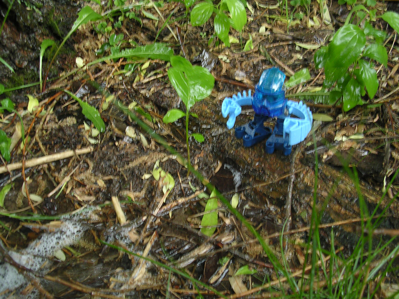 hahli03.jpg
