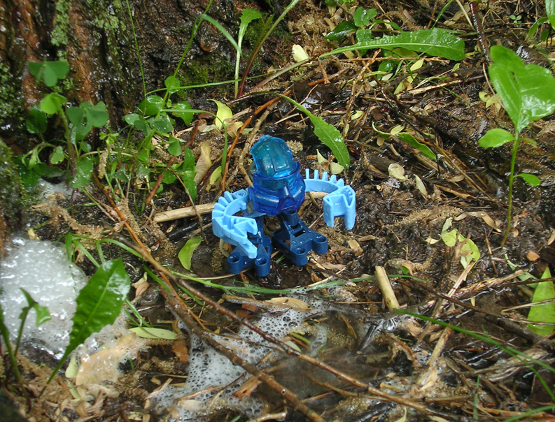 hahli04.jpg