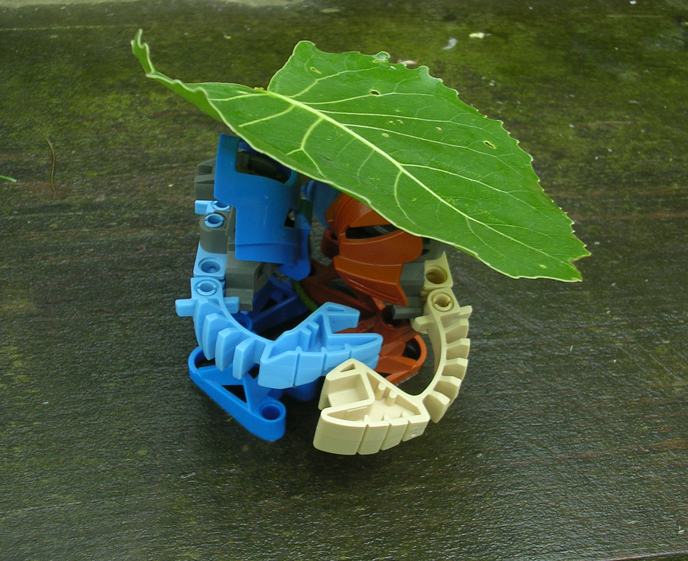 maku-huki4.jpg