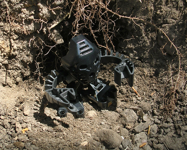 rukau.jpg