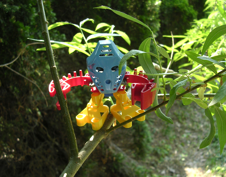 takua01.jpg