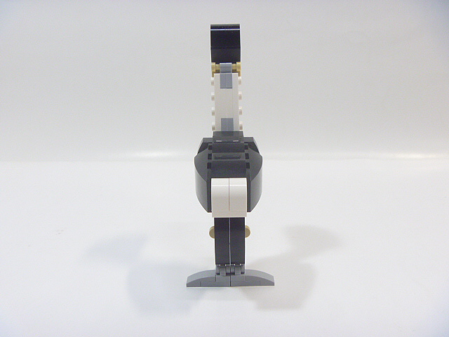 p1080489.jpg