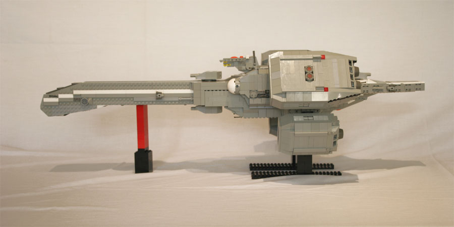 snake_01.jpg