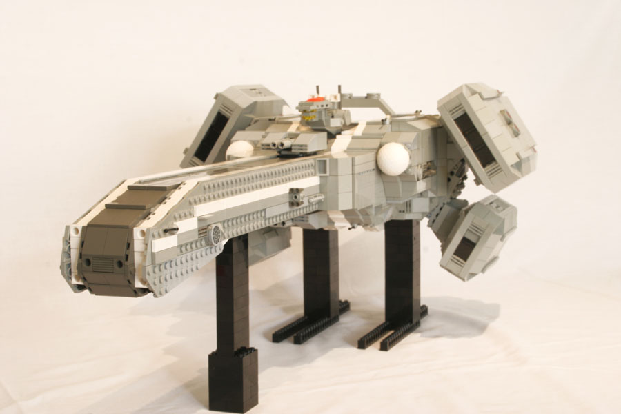 snake_03.jpg