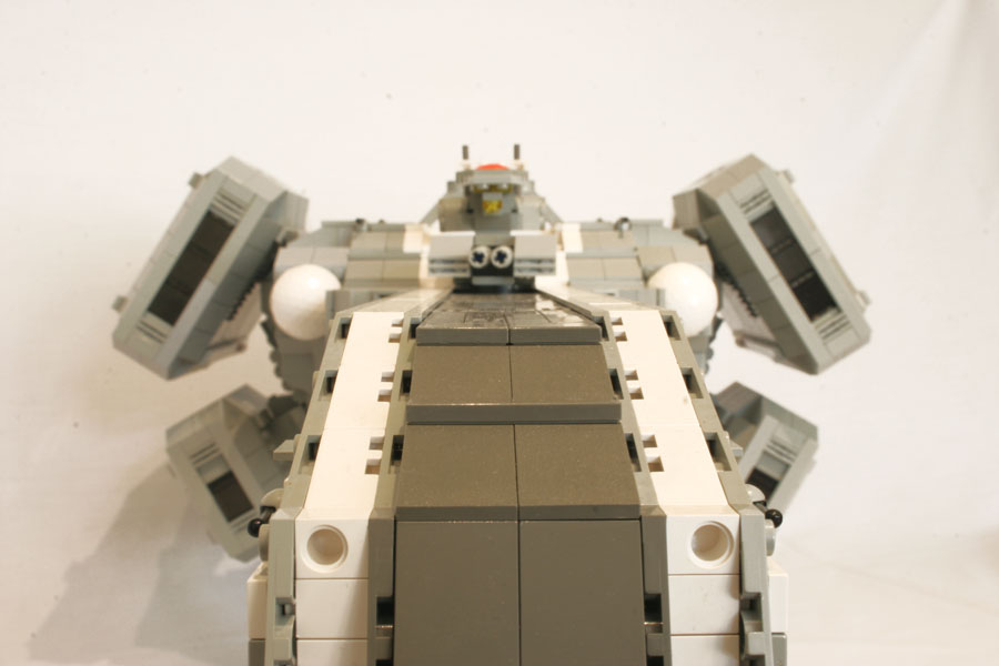snake_06.jpg