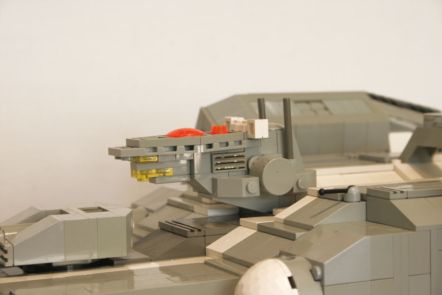 snake_10.jpg