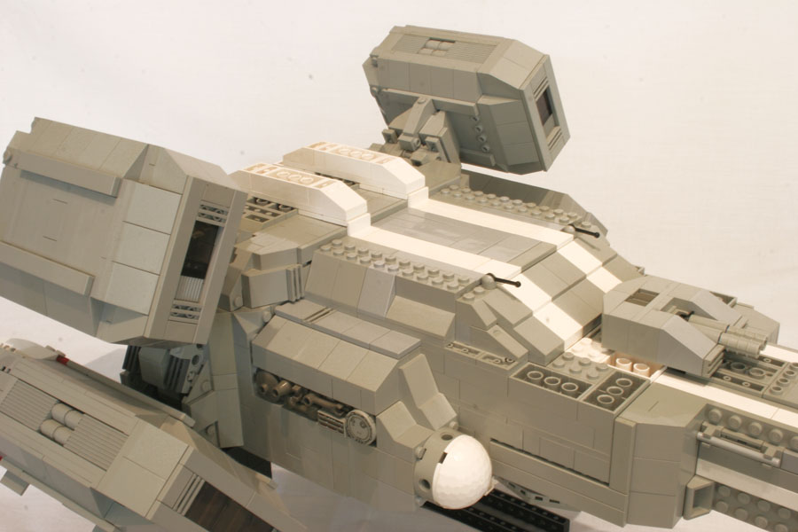 snake_27.jpg