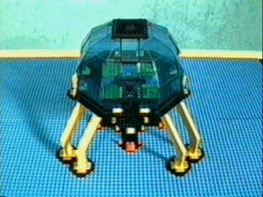 build1.jpg