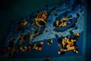 37-overview4.jpg