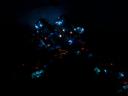 night3.jpg