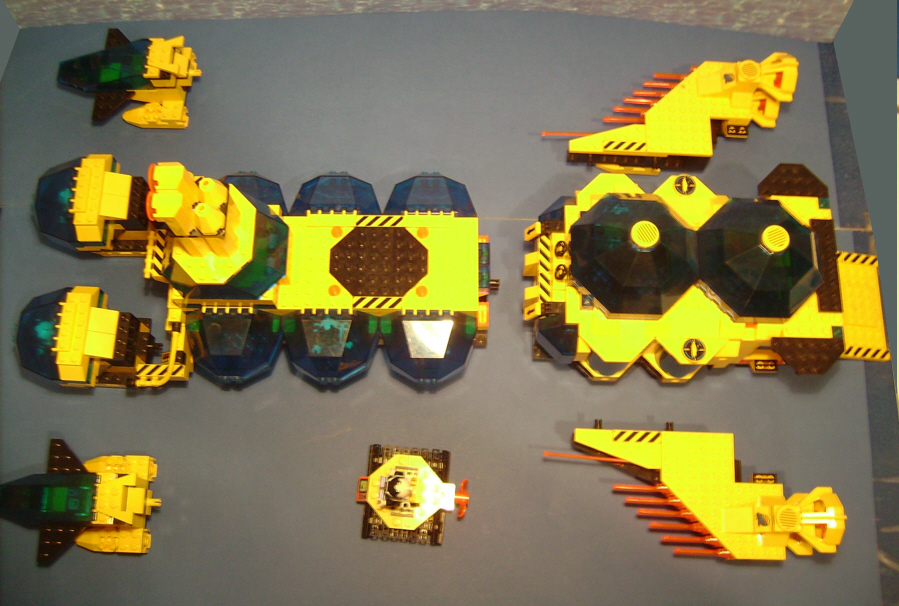10-whale11.jpg