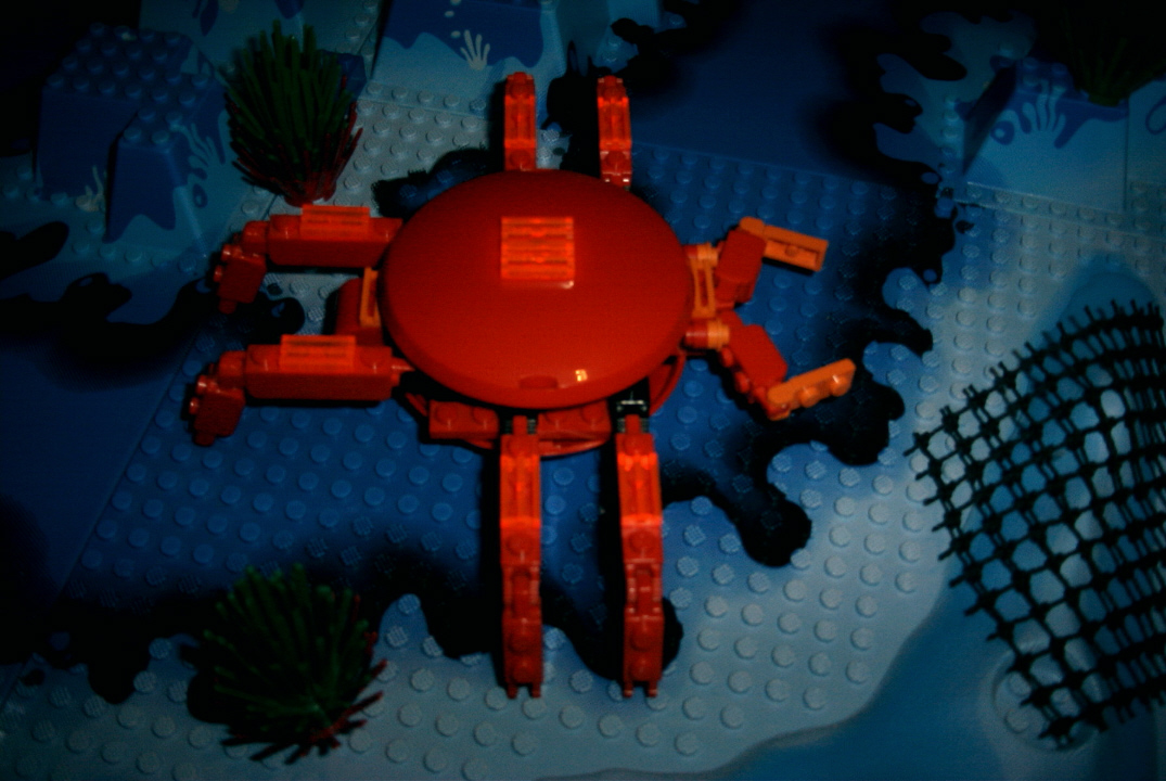 crabb.jpg