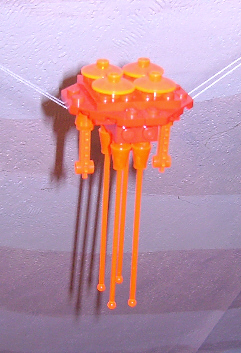 jellyfish2.jpg