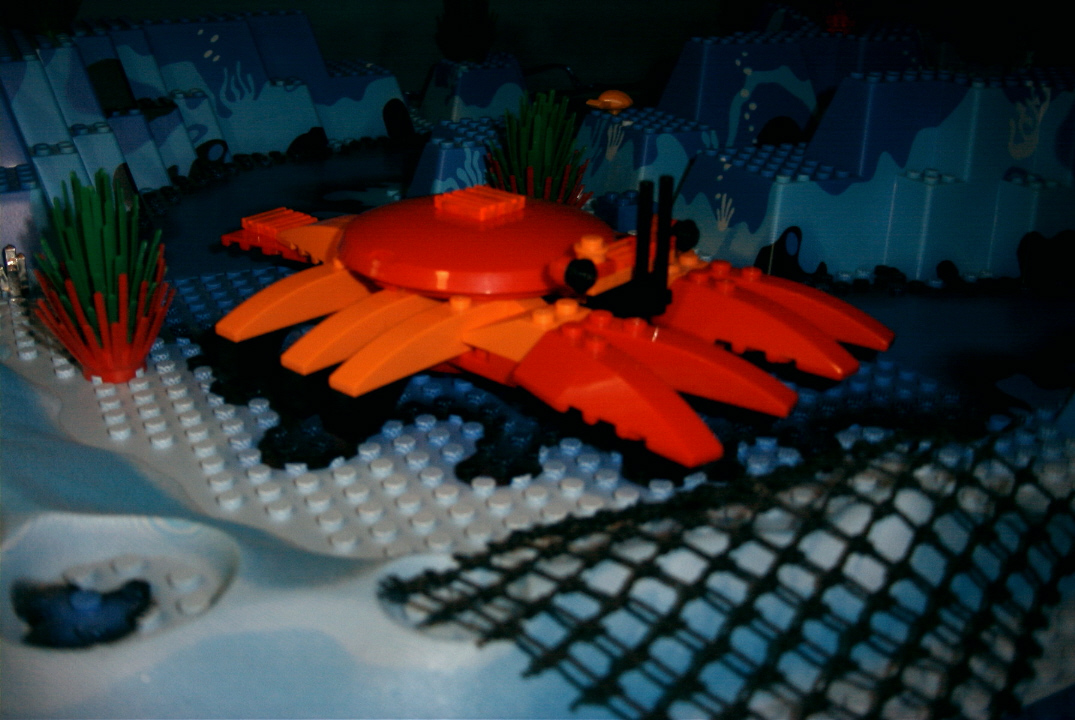 lobsterb.jpg