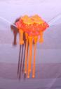 jellyfish2.jpg