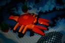 lobstera.jpg