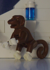 14-ali-the-monkey.jpg