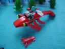 SeamonkeysSeaScout