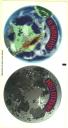apollo1.jpg
